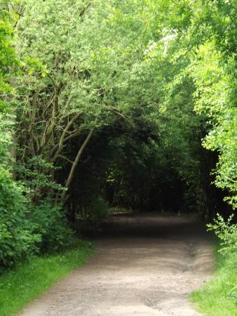 Dearne Valley Country Park